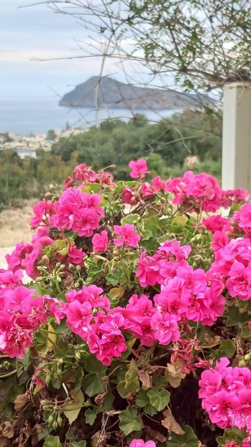 Venizelos Studios Platanés Εξωτερικό φωτογραφία